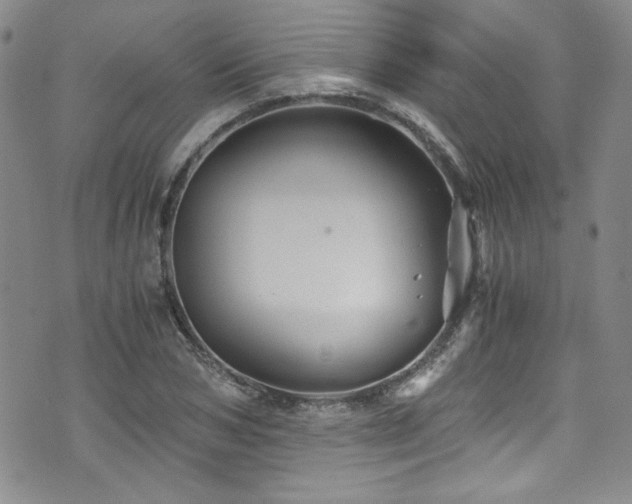 X0000076270978200609281201