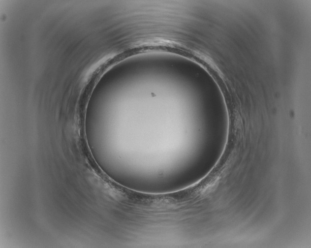 X0000076270979200609281201