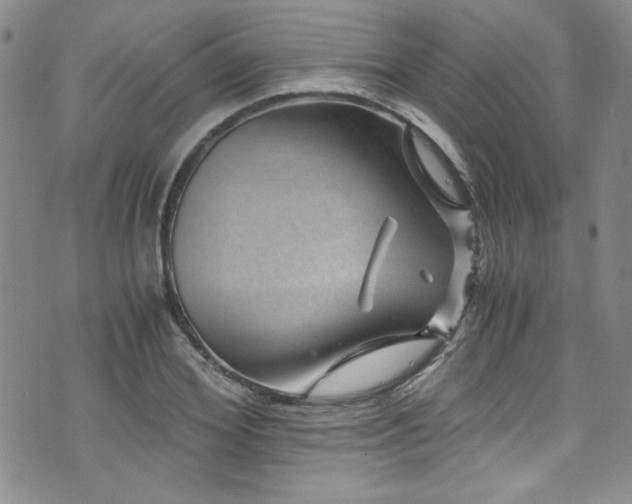 X0000076270980200609281201