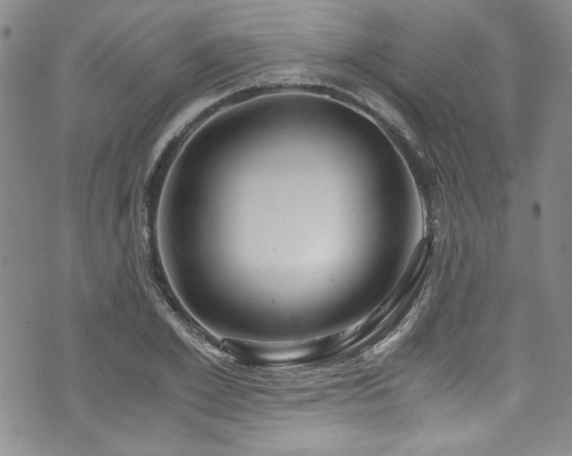 X0000076270981200609281201