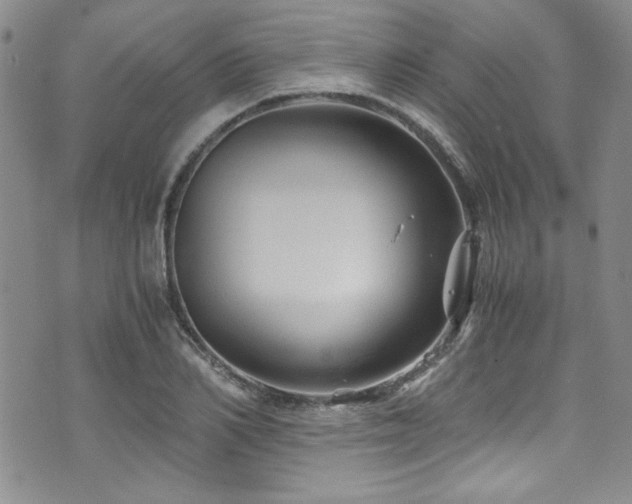 X0000076270982200609281201