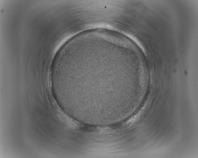 X0000076270983200609281201