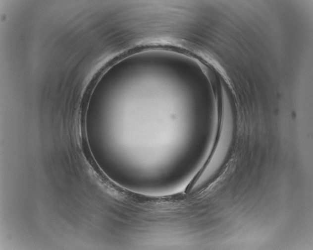 X0000076270984200609281201