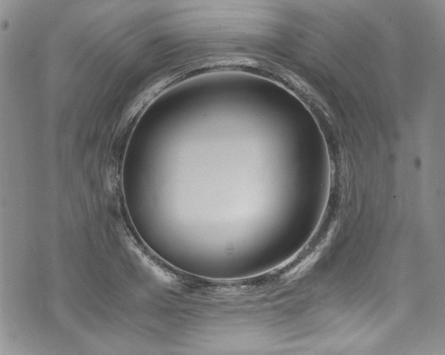 X0000076270985200609281201