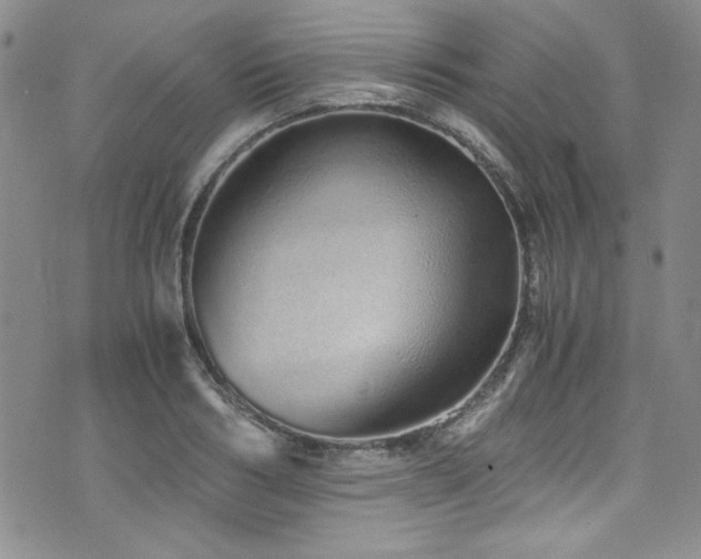 X0000076270986200609281201