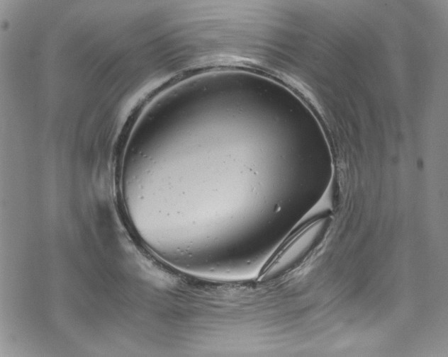 X0000076270987200609281201