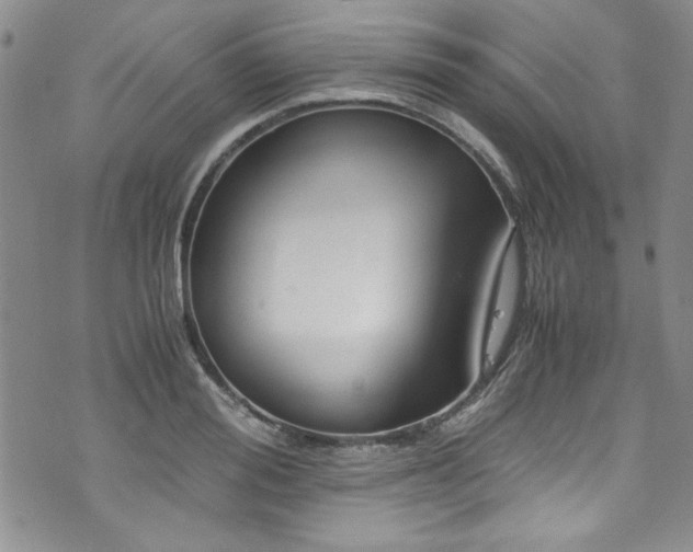 X0000076270988200609281201