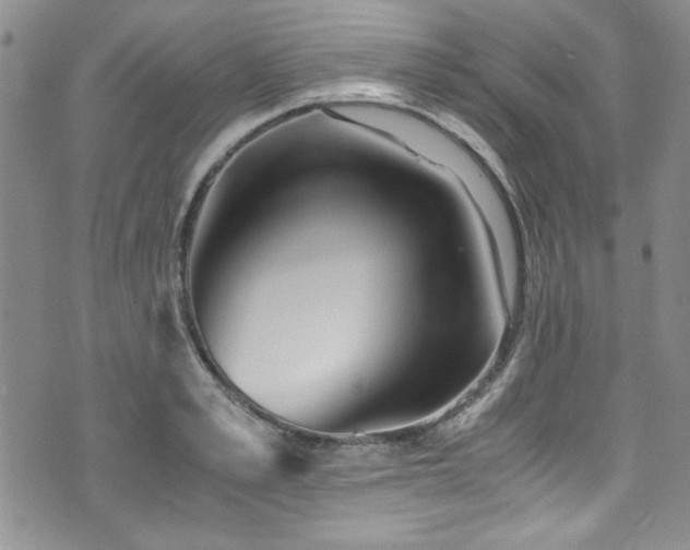 X0000076270989200609281201