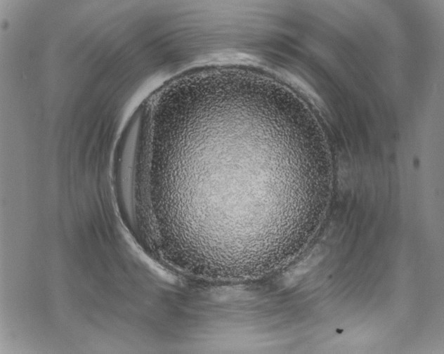 X0000076270990200609281201