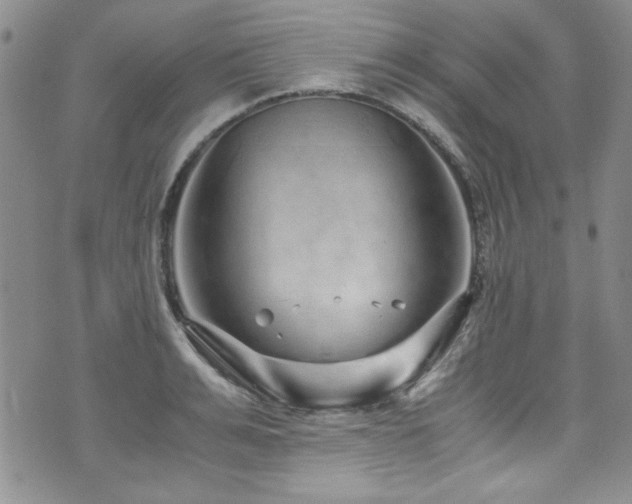 X0000076270991200609281201