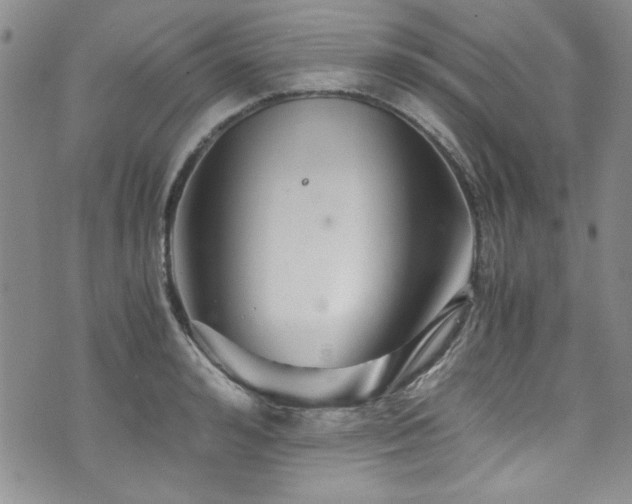 X0000076270992200609281201