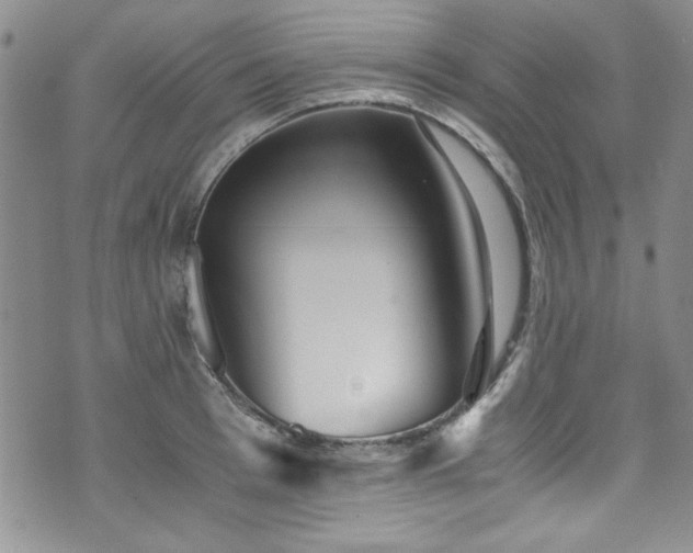 X0000076270993200609281201