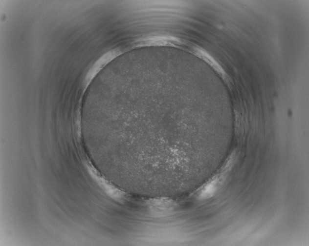 X0000076270994200609281201