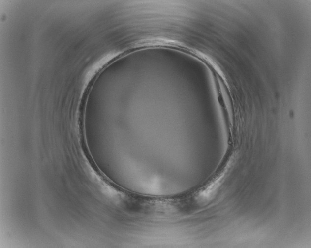 X0000076270995200609281201