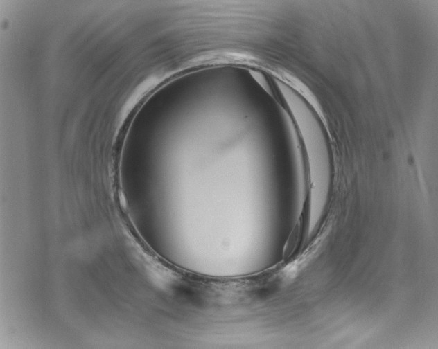 X0000076270997200609281201