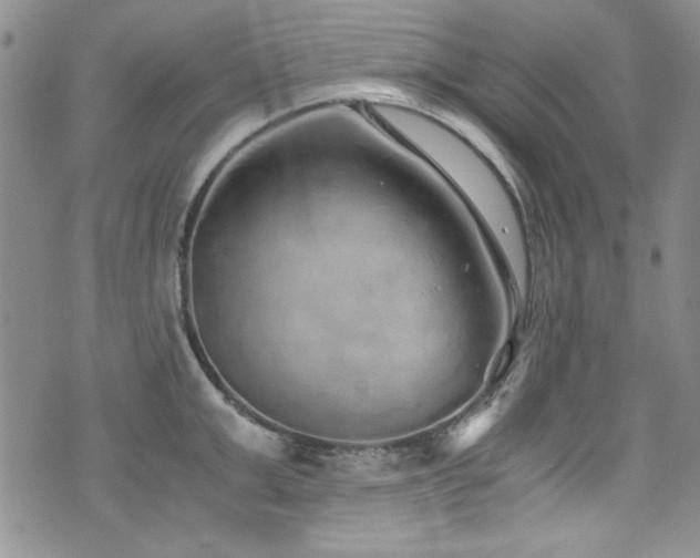 X0000076270999200609281201