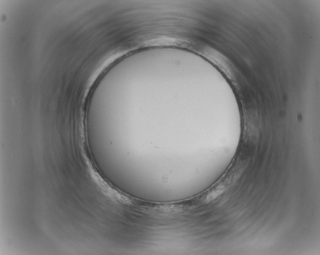 X0000076271000200609281201