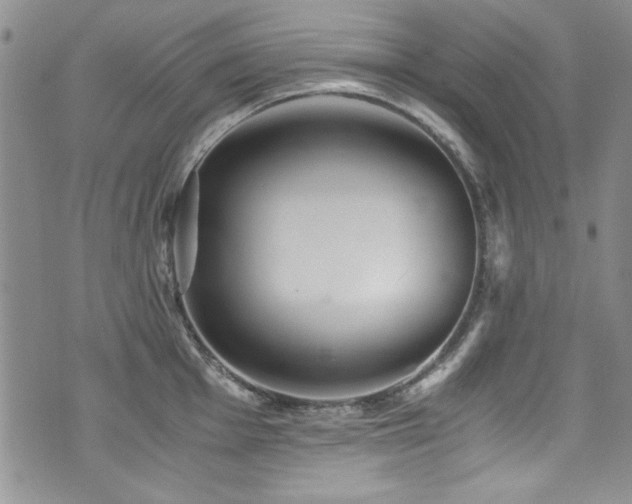 X0000076271001200609281201