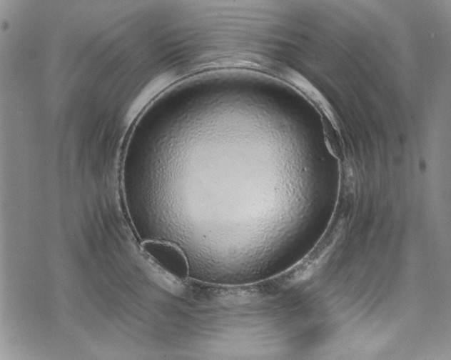 X0000076271002200609281201