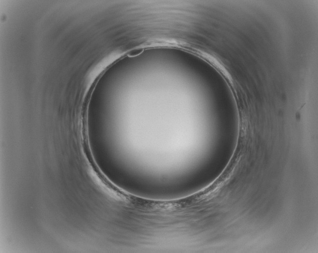 X0000076271003200609281201