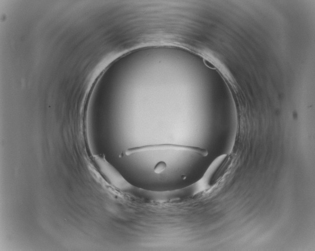 X0000076271004200609281201