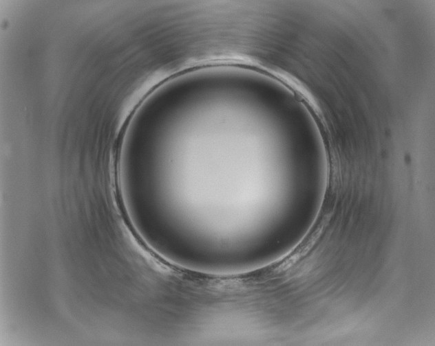 X0000076271006200609281200