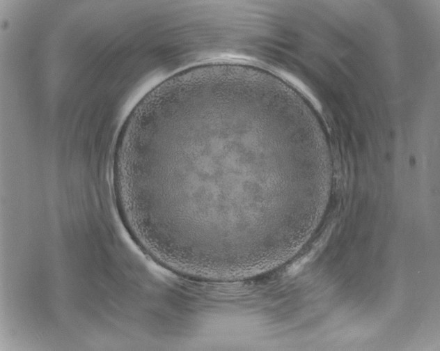 X0000076271007200609281200