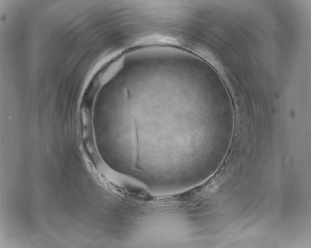 X0000076271008200609281200