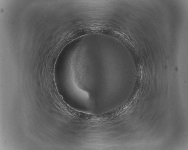 X0000076271009200609281200