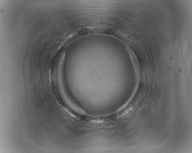 X0000076271010200609281200