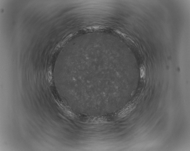 X0000076271011200609281200