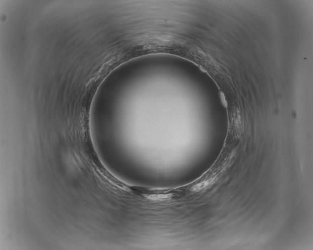 X0000076271012200609281200