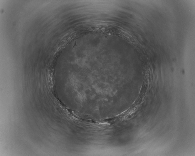 X0000076271013200609281200