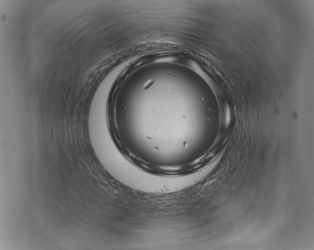 X0000076271014200609281200