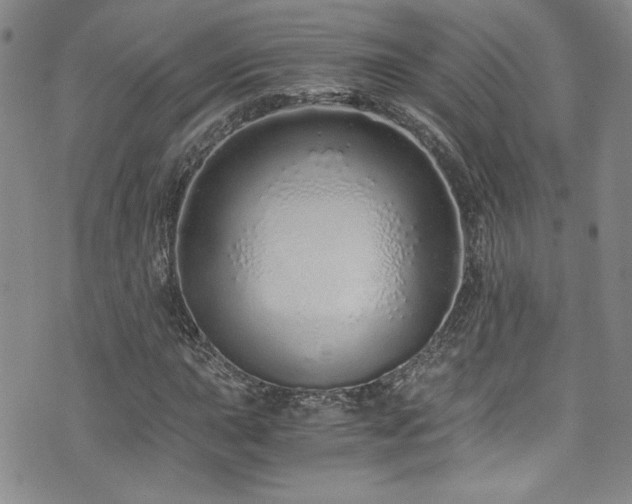 X0000076271015200609281200