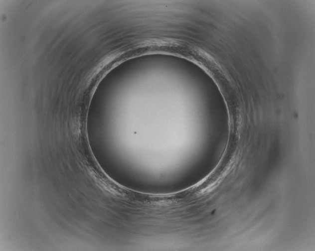 X0000076271017200609281200