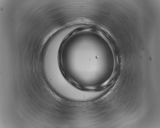 X0000076271018200609281200