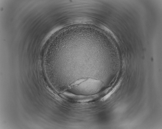 X0000076271019200609281200