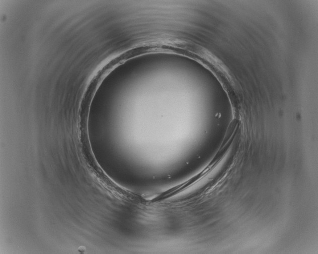 X0000076271020200609281200