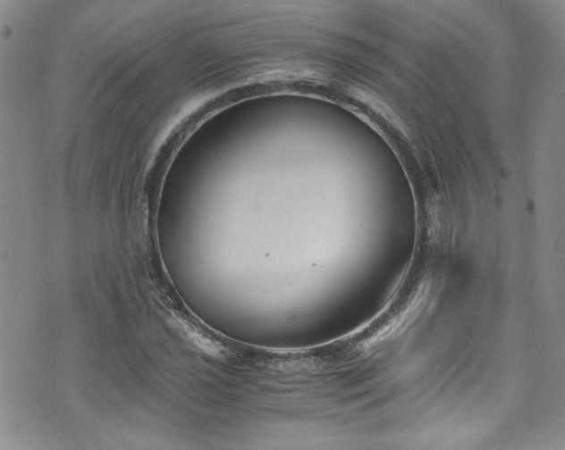 X0000076271021200609281200