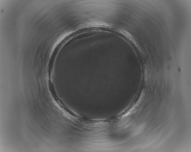 X0000076271024200609281200