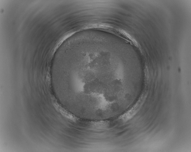 X0000076271025200609281200