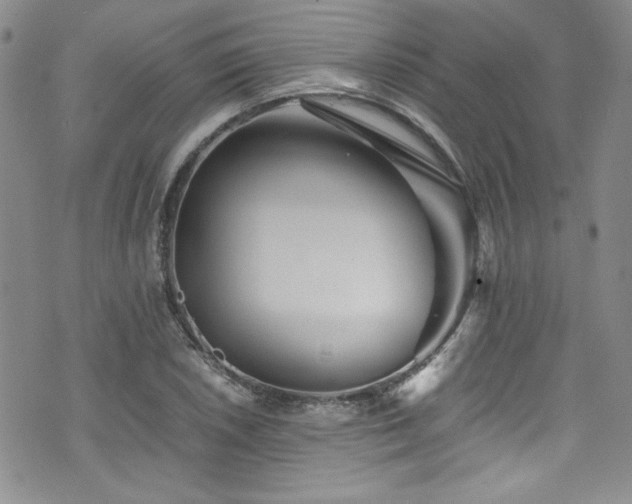 X0000076271026200609281200