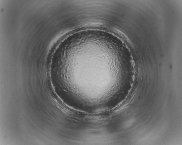 X0000076271027200609281200