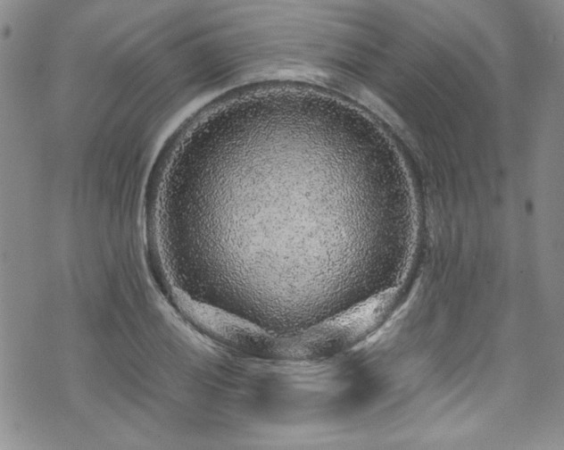 X0000076271028200609281200