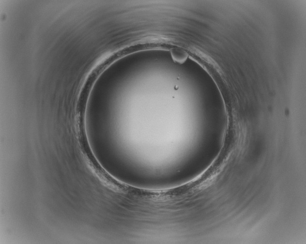 X0000076271029200609281200