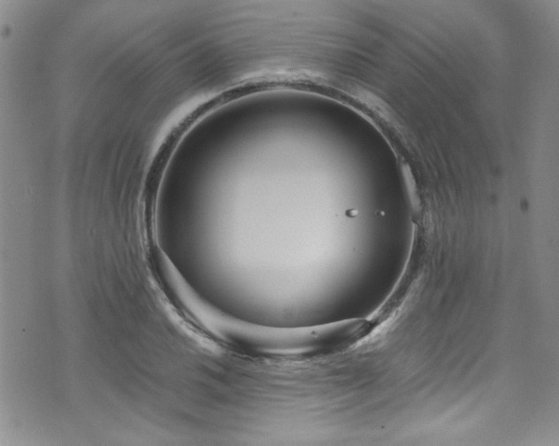 X0000076271030200609281200