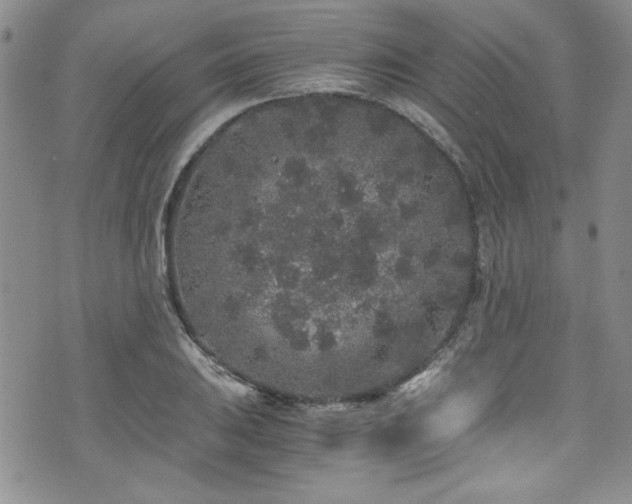 X0000076271031200609281200