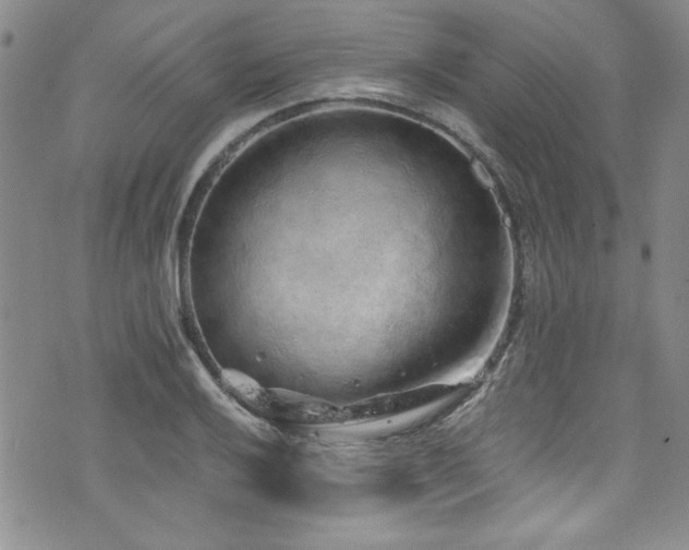 X0000076271032200609281200