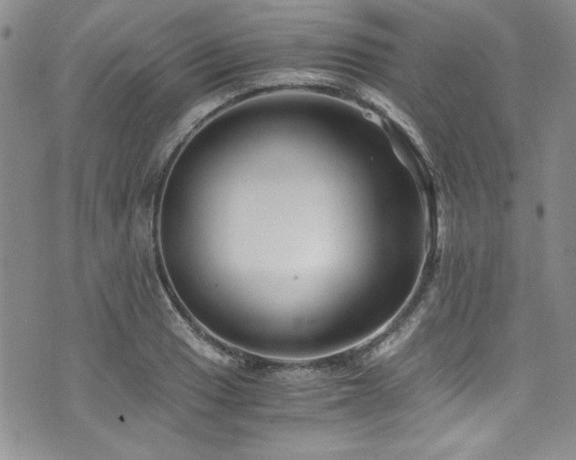 X0000076271033200609281200